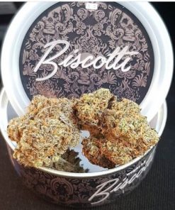 Buy Biscotti tins_3.5