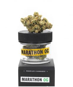 Buy Marathon OG Strain